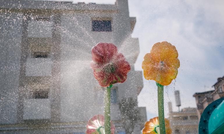 Fiori colorati spruzzati d'acqua in una fontana urbana.