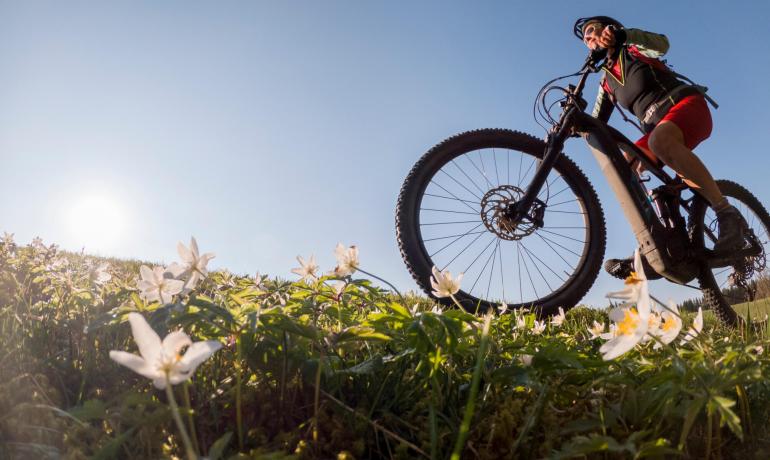 Cyclist rides through flowered meadow under blue sky, energy and freedom.